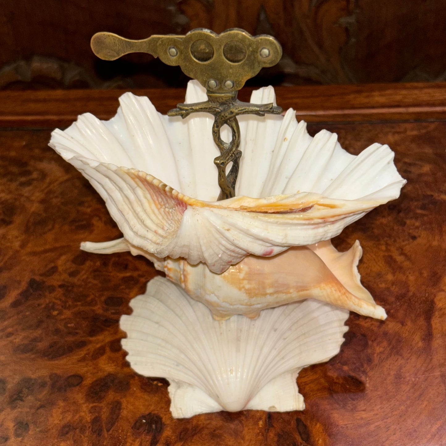 Antique Stacked Seashell Double Cigar Cutter
