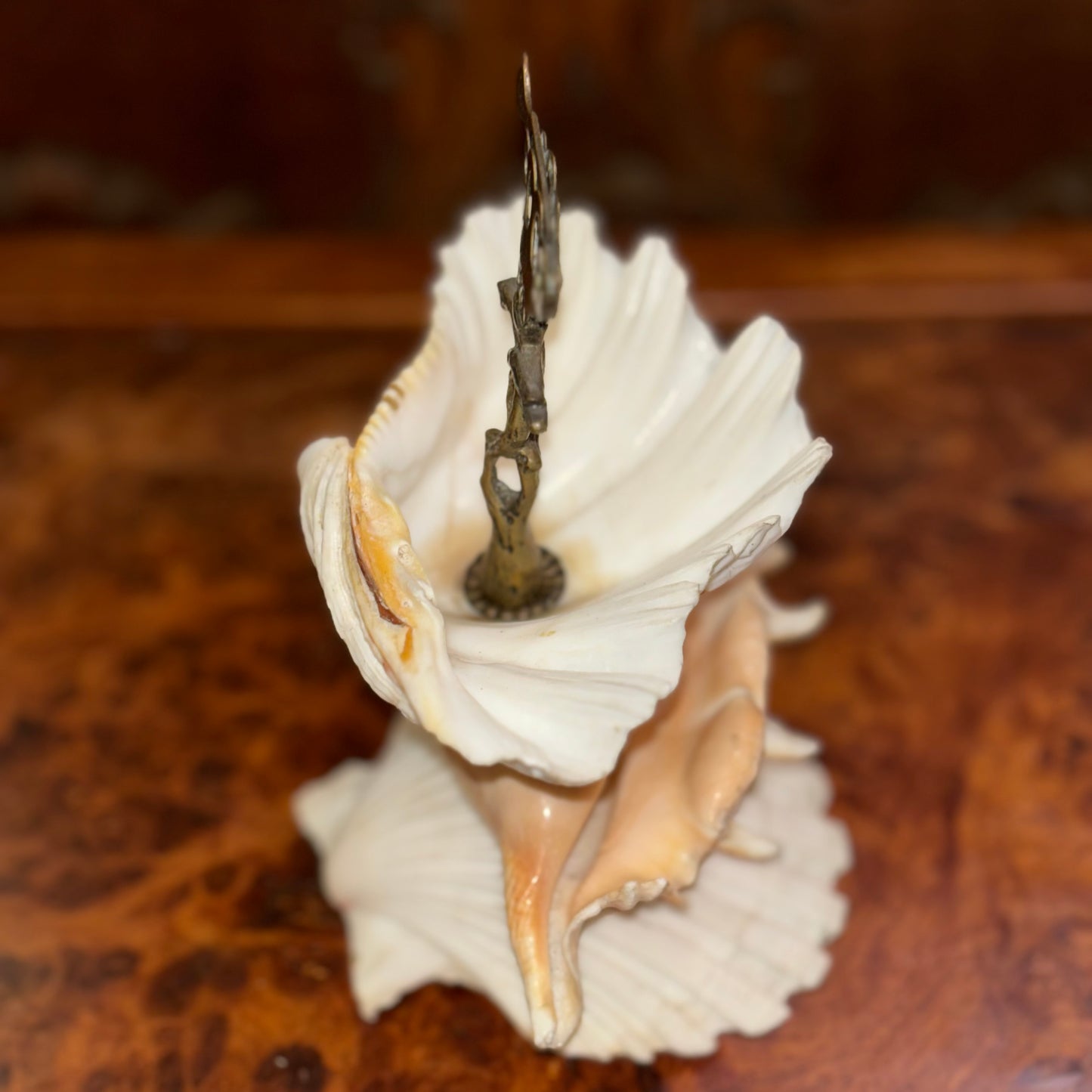 Antique Stacked Seashell Double Cigar Cutter
